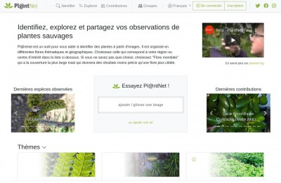 PlantNet Version Web