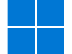 Logo Windows 11 Professionnel