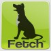 Fetch Dog Training